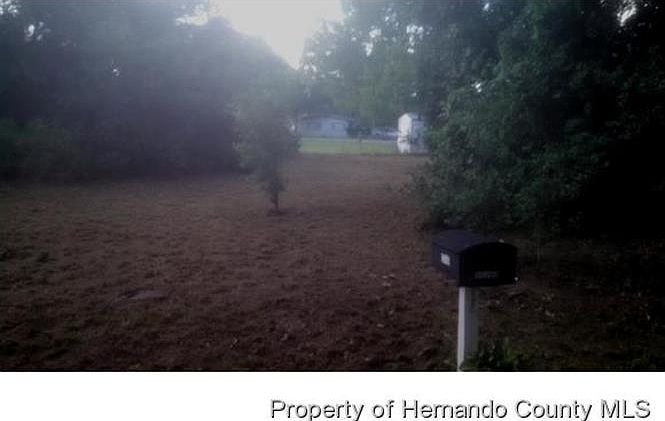 2nd image of Patrice Rd