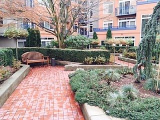 Building Courtyard