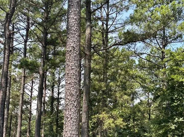 202 Crooked Cedar Trl Lot 355, Broken Bow, OK 74728