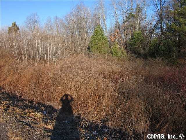 2nd image of 1143 Chestnut Ridge Rd