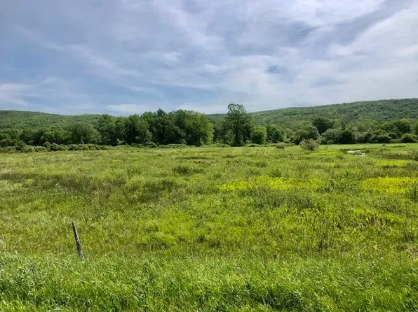 0 State Highway 12, North Norwich, NY 13814