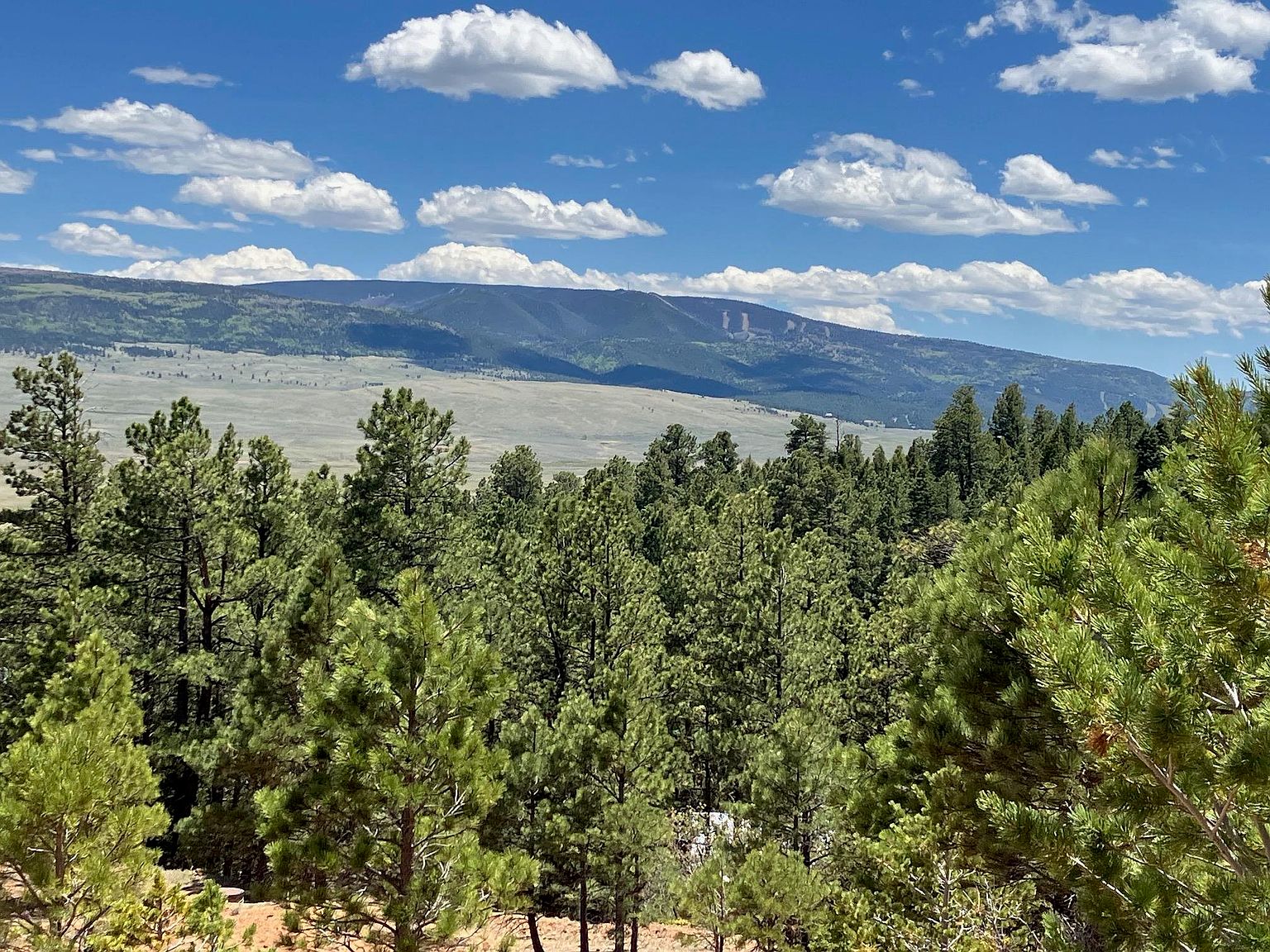 106 Eagle Dr, Eagle Nest, NM 87718 | MLS #111795 | Zillow