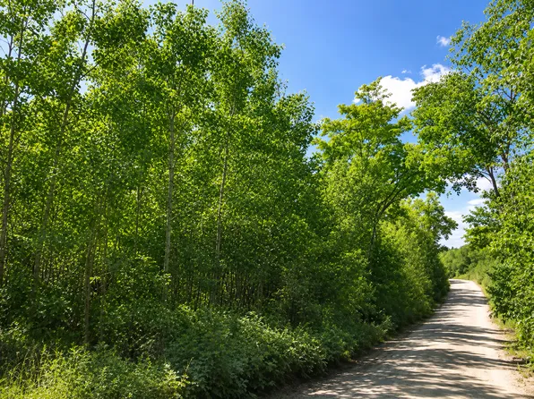 S Boy Lake Dr NE, Remer, MN 56672