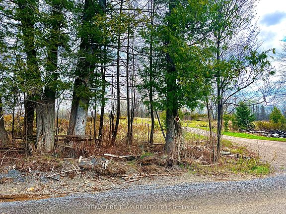 4th image of 1102 Colton Rd