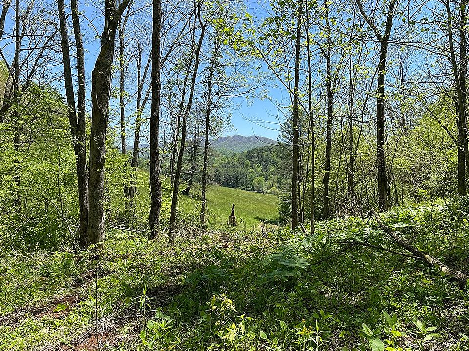 1st image of Great Dane Ln