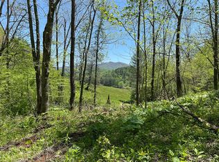 Great Dane Ln, Bakersville, NC 28705