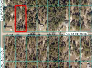 LOT 19 SW Surf Blvd LOT 19, Dunnellon, FL 34431