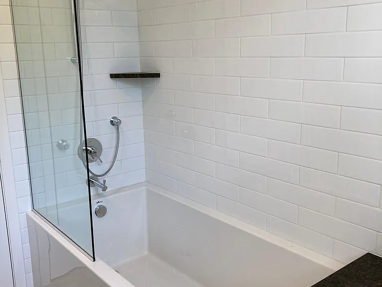 Main Bath Shower
