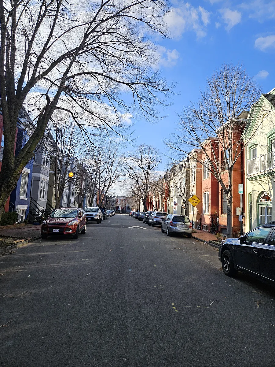 Linden Place - charming tree-lined street - 1237 Linden Pl NE #1