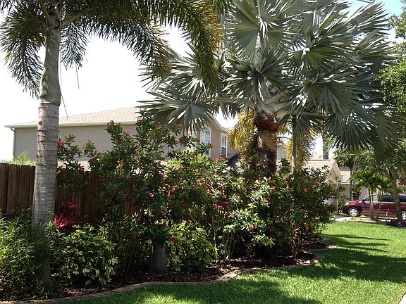 Side Garden