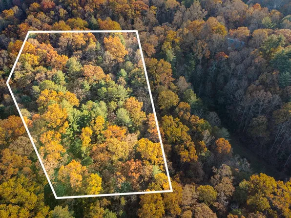 4 Trillium Trl, Ellijay, GA 30540