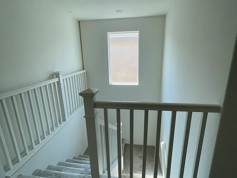 Seeding Palace Cir — Photo 16