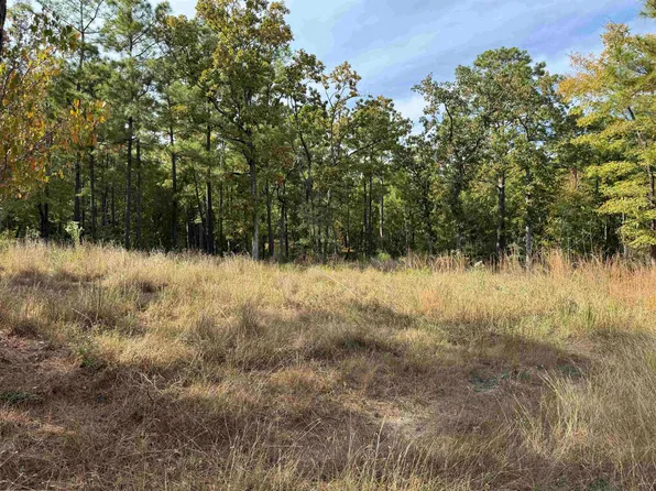 LOT 62 Cove Point Dr #64, Brookeland, TX 75931