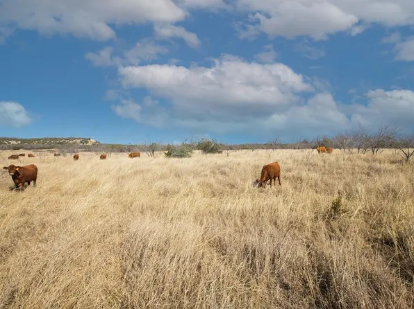 3 Lower Crabapple Rd, Fredericksburg, TX 78624