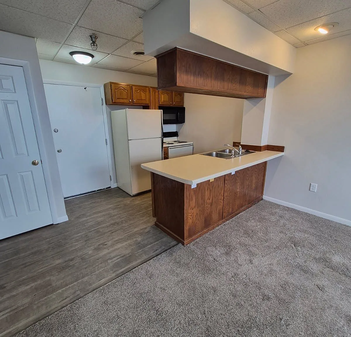 624 Ludington St Deltaplex — Photo 3