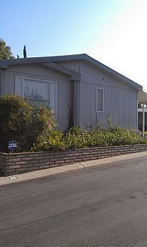 IMAG0209.jpg