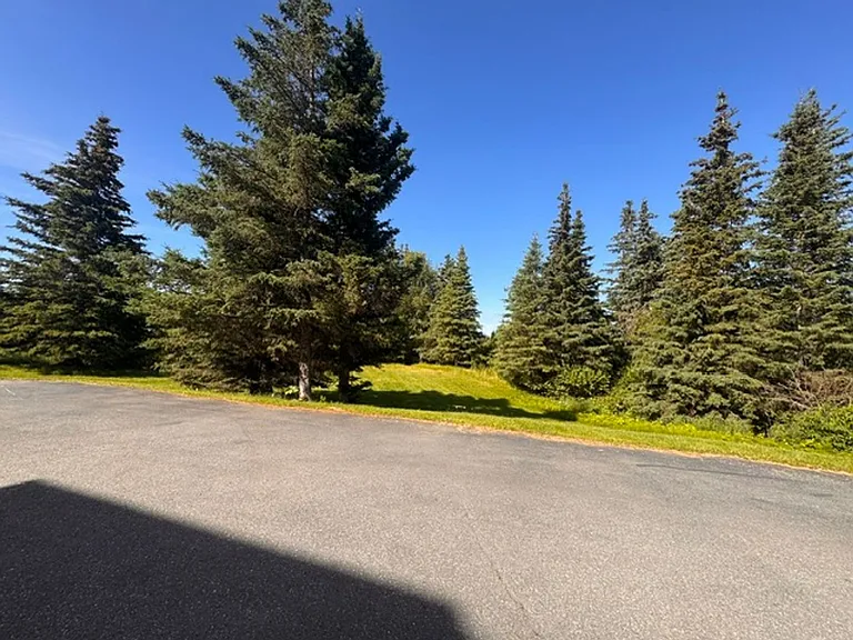 10100 Zermatt Cir — Photo 47