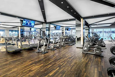 Rented by The Moinian Group