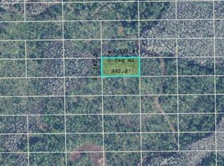 Dill Rd LOT 800, Orlando, FL 32820