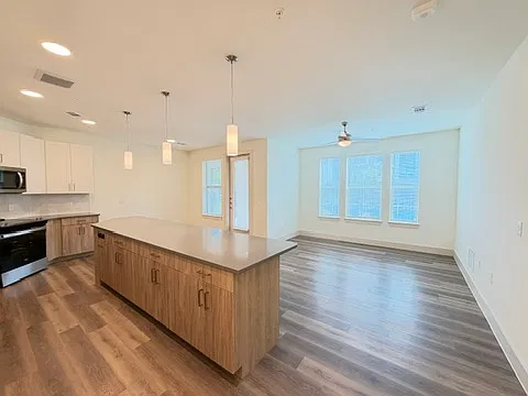 Elara Dr, Austin — Photo 3