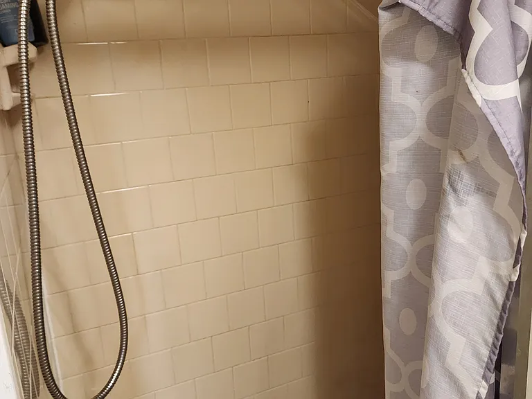 15 Fernboro St #3 — Photo 20