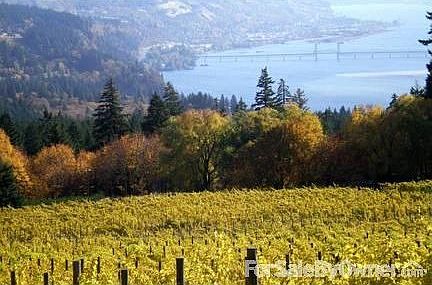 Upstairs Garage
						:
						From part of large parking area