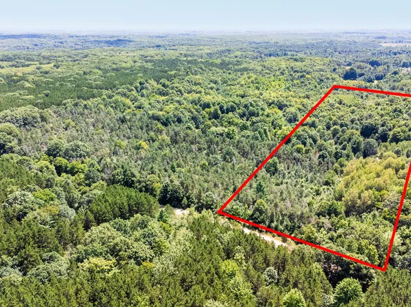 V L E Pierce Rd, Hesperia, MI 49421