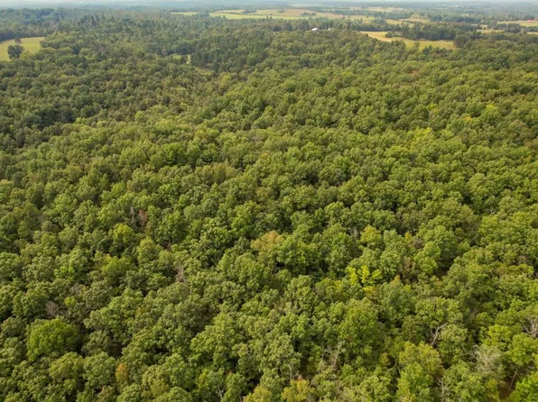 0 County Road Z464, Birch Tree, MO 65438