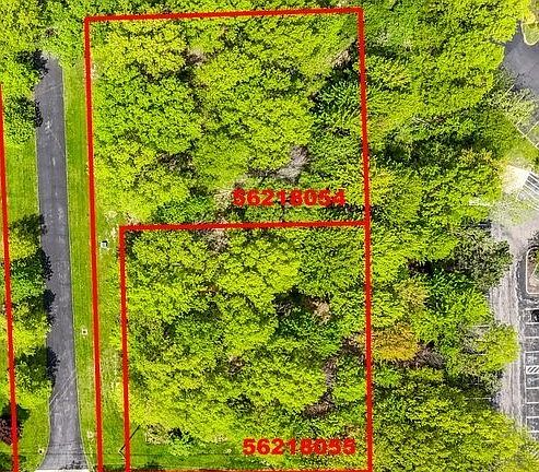 5th image of Daisy Blvd