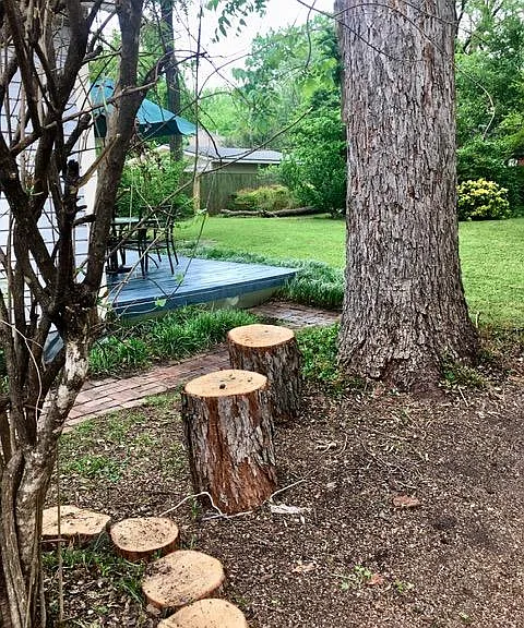 Log stools by old pecan tree