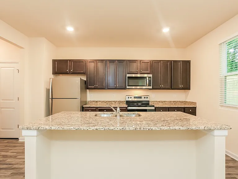 203 Hamilton Pointe Dr — Photo 6