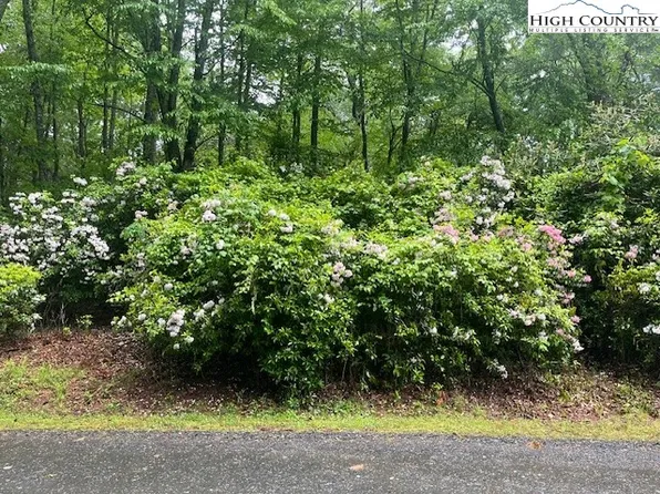 Lot 142 Meadow Lane, West Jefferson, NC 28694