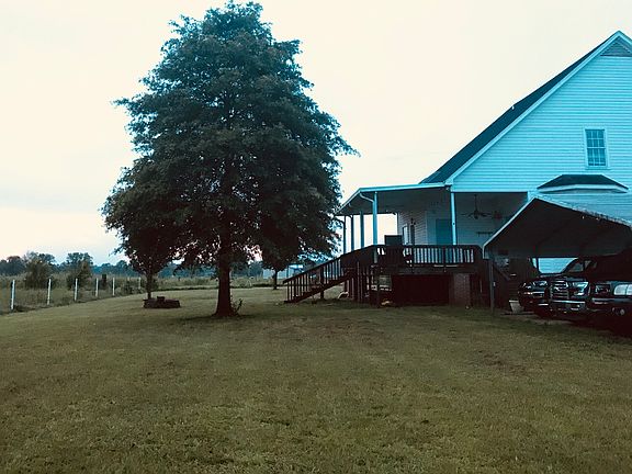 Back yard