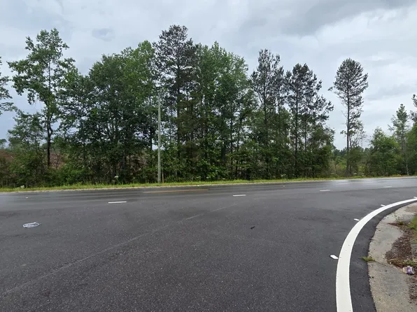 0 Highway 29, New Augusta, MS 39462