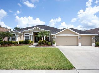 2822 Mossy Timber Trl, Valrico, FL 33596