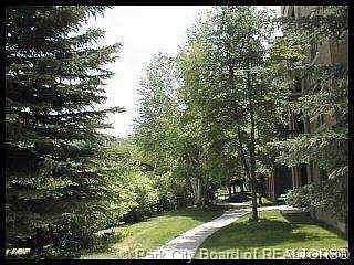 3rd image of 950 N Park Ave #213