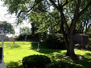 Backyard with fence