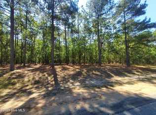 32 Peach Orchard Rd, Wagram, NC 28396