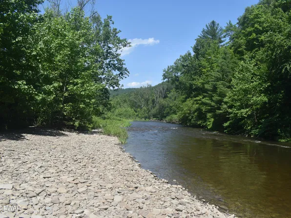 Pine Mill Rd, Equinunk, PA 18417