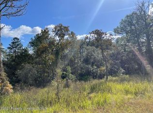 10498 Eider Ave, Weeki Wachee, FL 34613