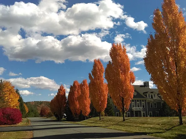 46 Barrister Dr #301, White Riv Jct, VT 05001