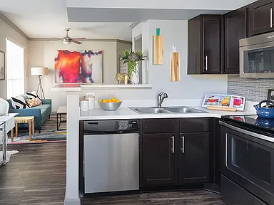 Virtual Tour for Griffis SoCo Austin Pet Washing Station