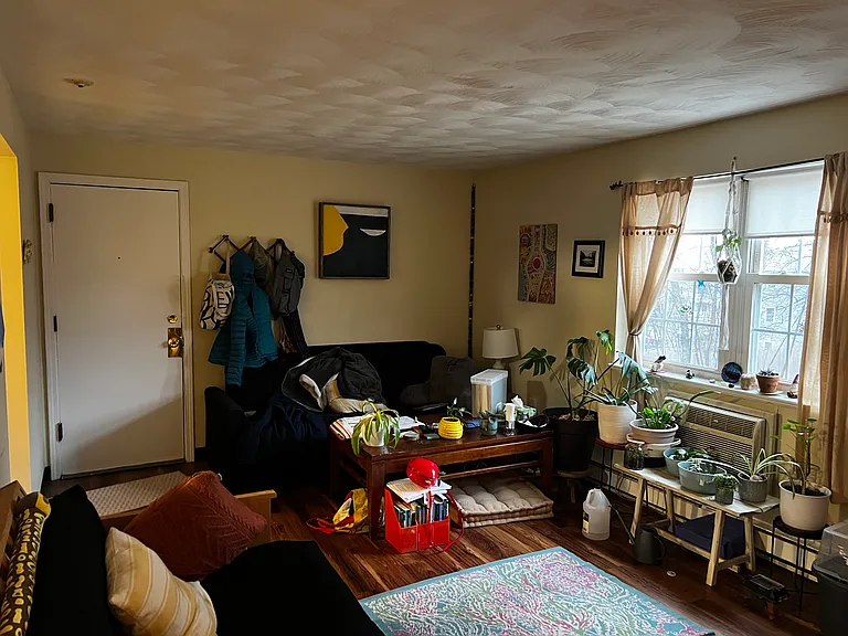 Central Village — Photo 7