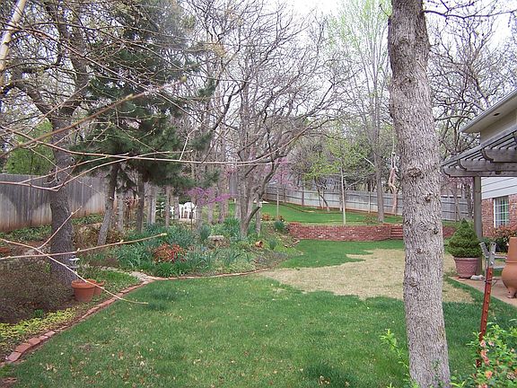 Rear yard