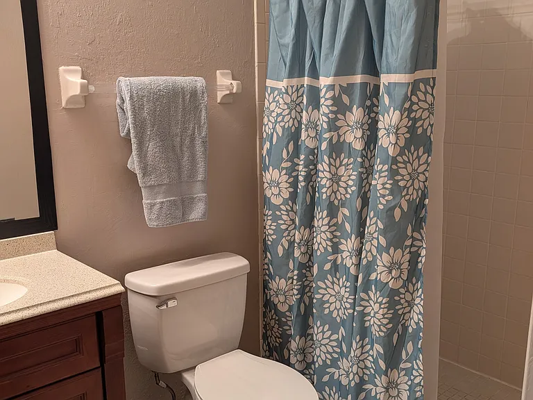 Master bath with shower