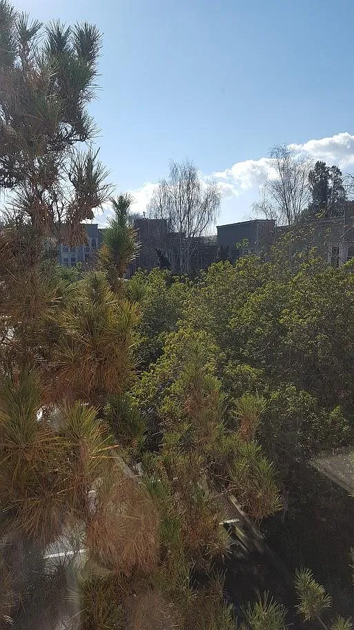 Studio, 456 sqft, $2,800 — Photo 3