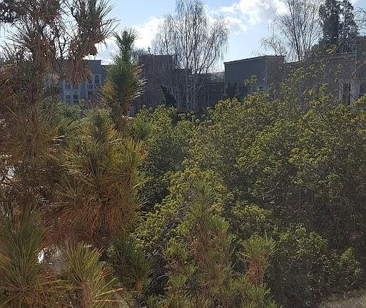 Partial view from unit.