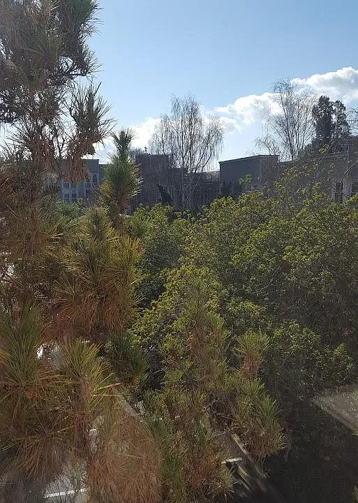 Partial view from unit.
