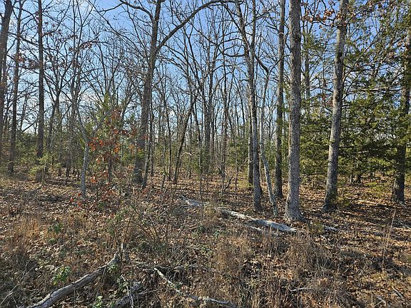 4th image of Tract 4 State Highway 174