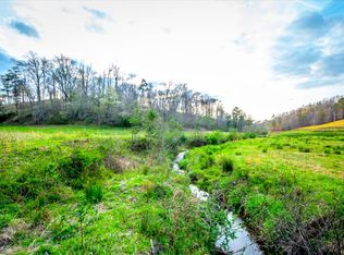 Douthit Rd Mineral, Bluff, GA 30559